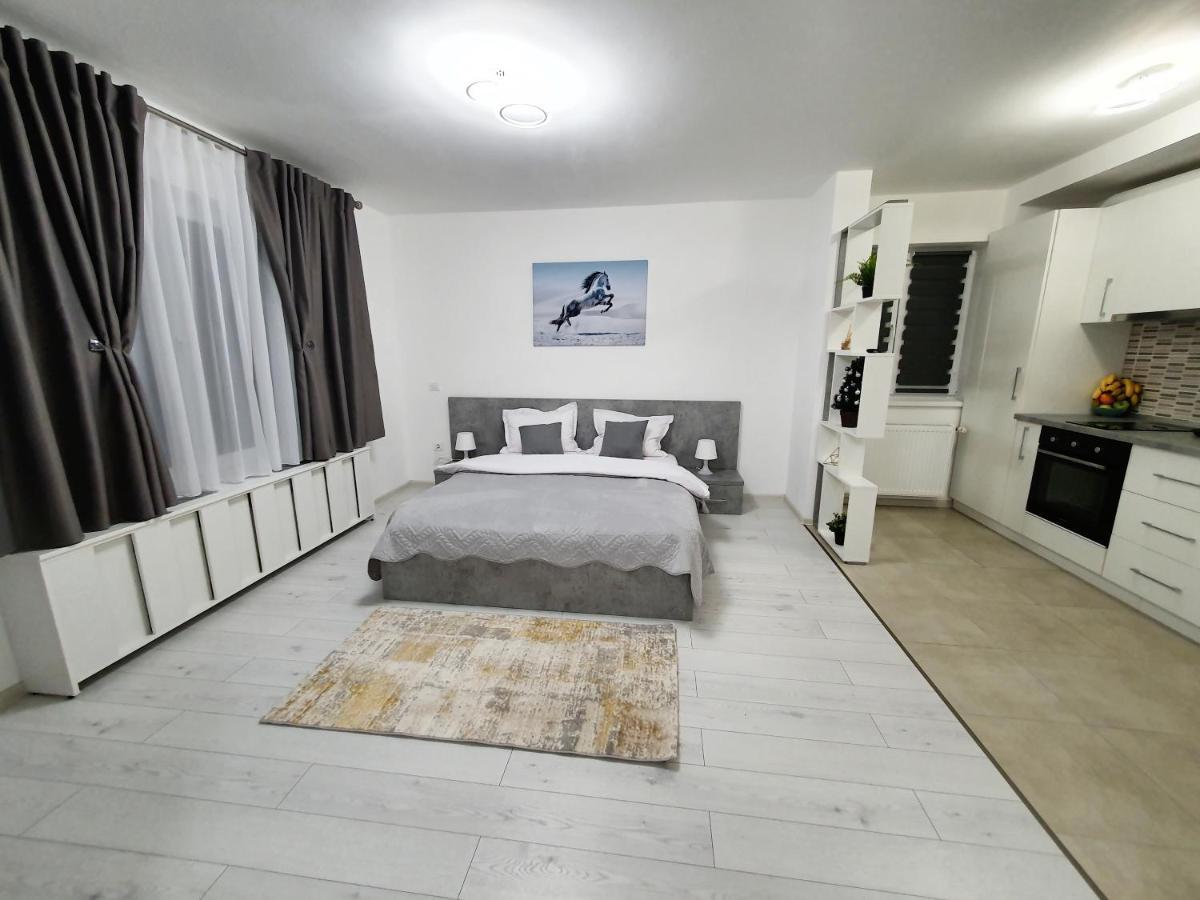 Fresh Mountain Brasov Apartment Exterior photo