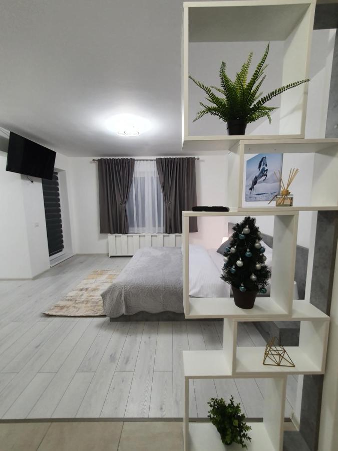 Fresh Mountain Brasov Apartment Exterior photo